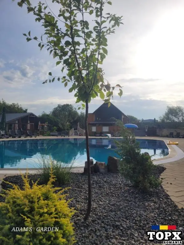 Afacere la cheie, piscina publica, restaurant evenimente, street food