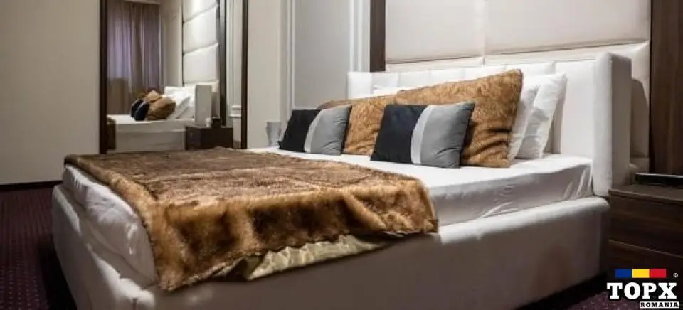 Angajam fete și femei pentru video chat Satu Mare.