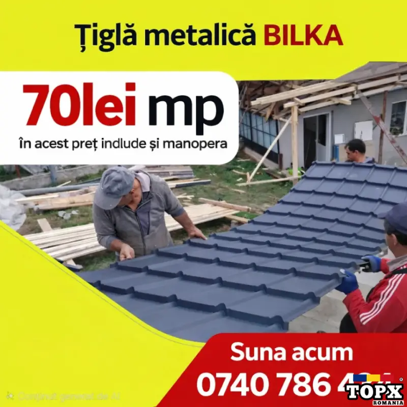 Reparații Acoperișuri