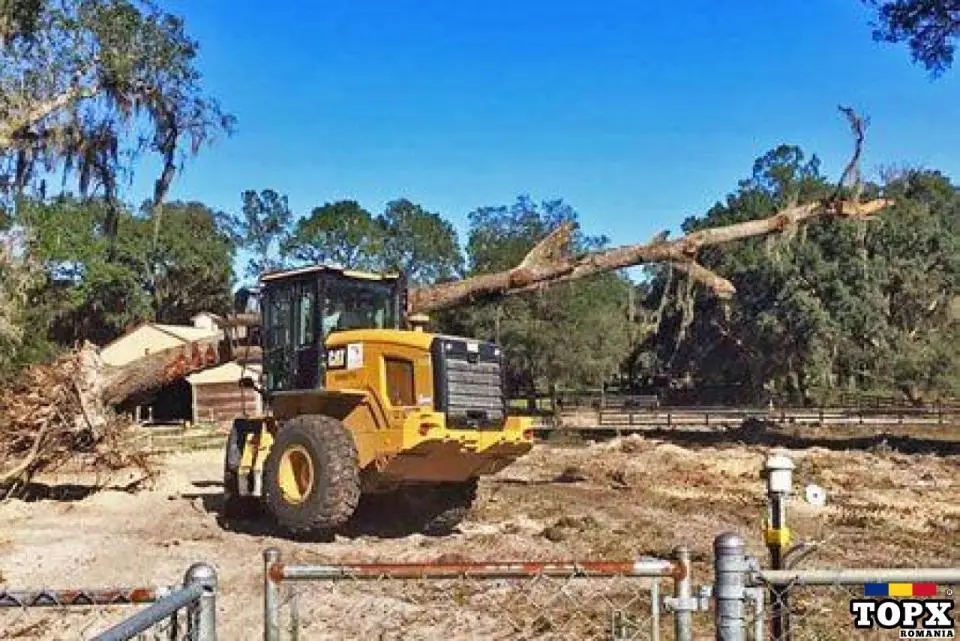 Defrisari/curatari terenuri-cu utilaje specializate