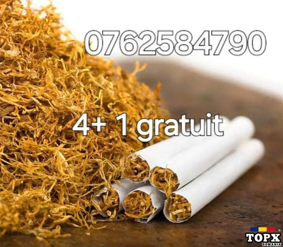 TUTUN BARLY si VIRGINIA