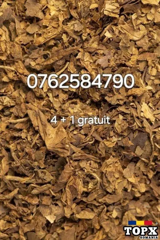 T.u.t.u.n.  T.o.c.a.t.