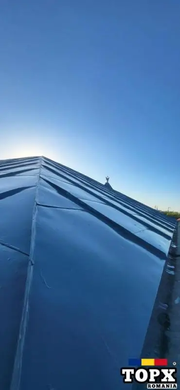 Vopsire tabla  acoperiș  la super  oferta