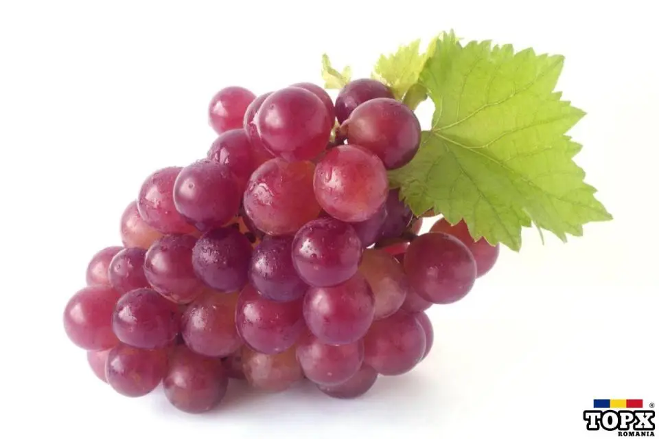 Vand vin de tara, din vita producatoare, nobila...