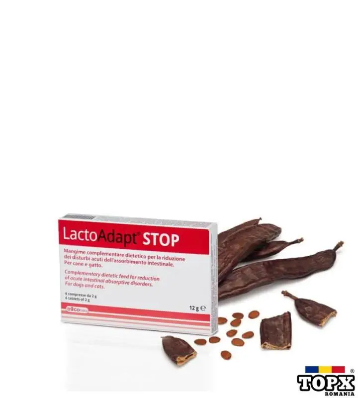 DOGO LACTO ADAPT STOP