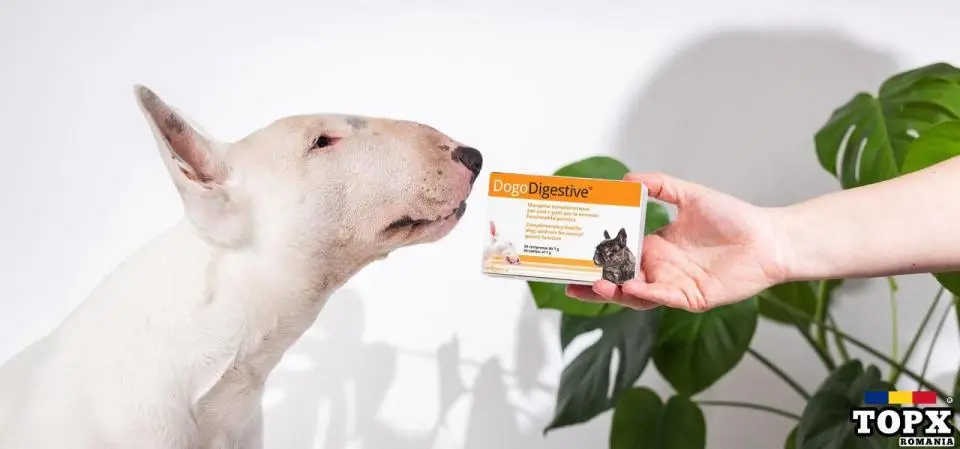 DOGO DIGESTIVE