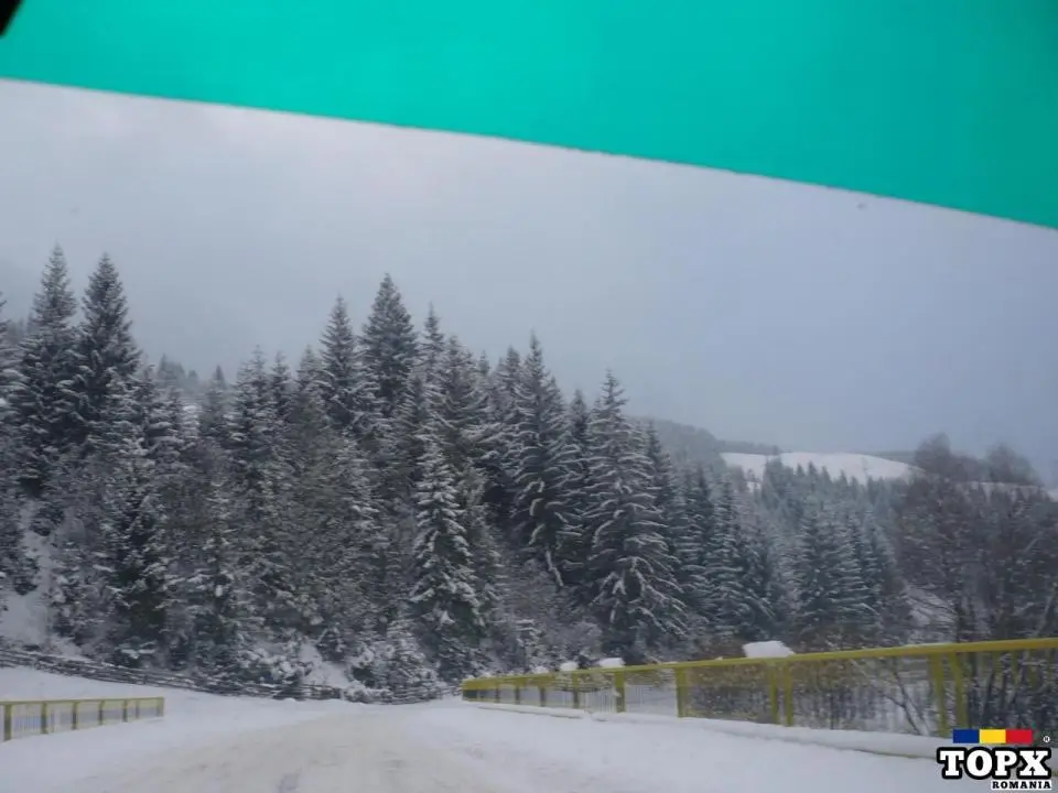 Revelion  2024 in Bucovina