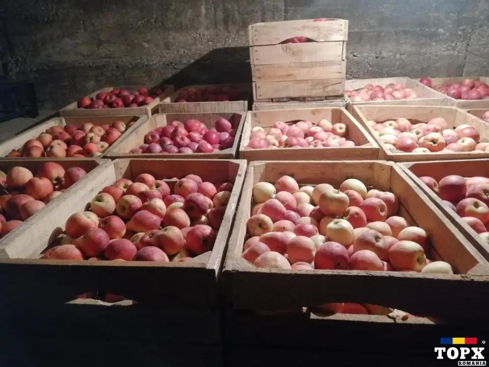 Vând mere diverse soiuri