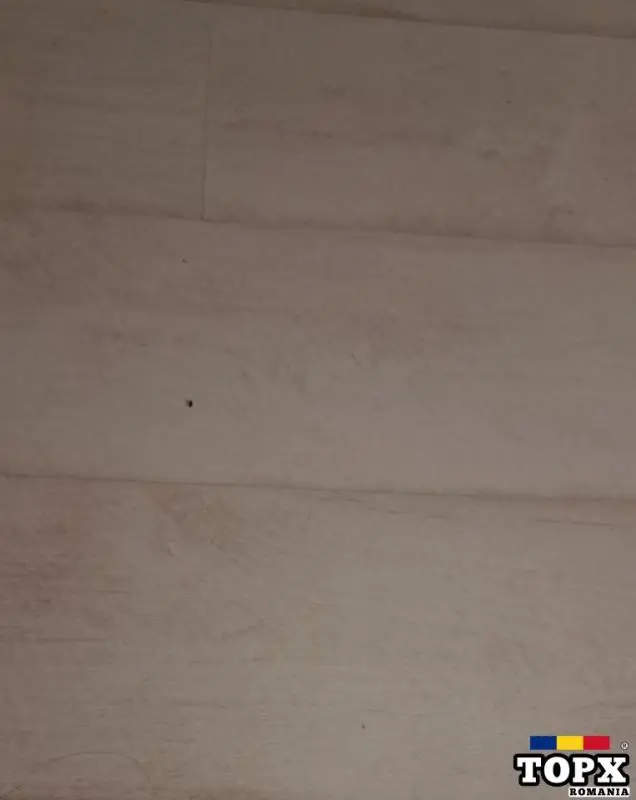 Pierdere  carnet si legitimatie de student