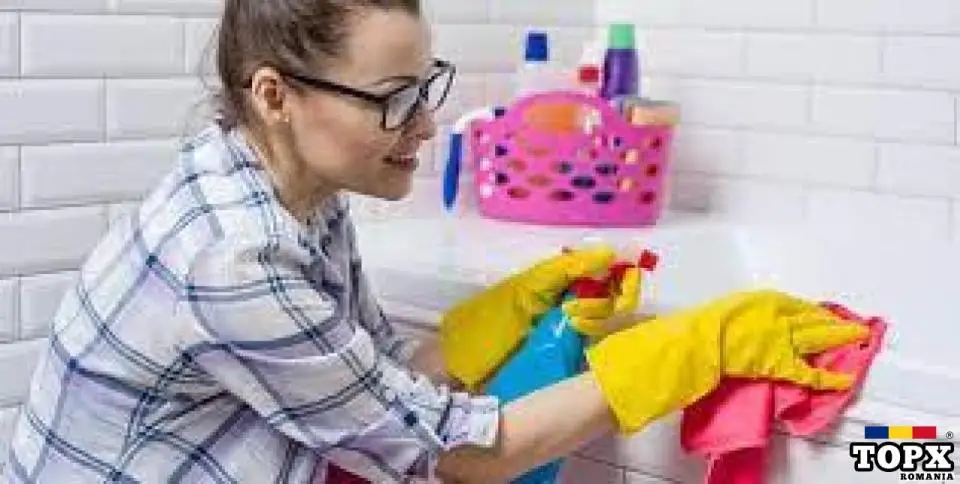 Menajera - activitati gospodaresti