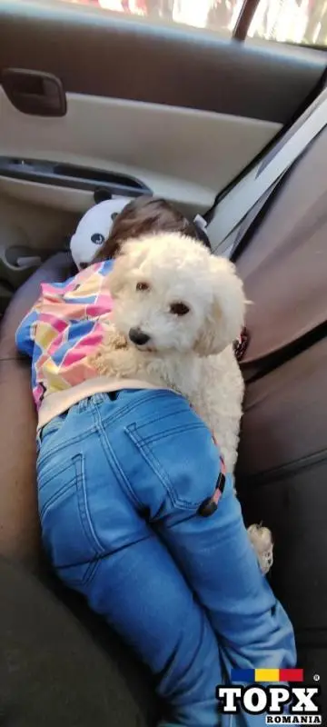 Hainuta pt ploaie, cu capse, fara defecte