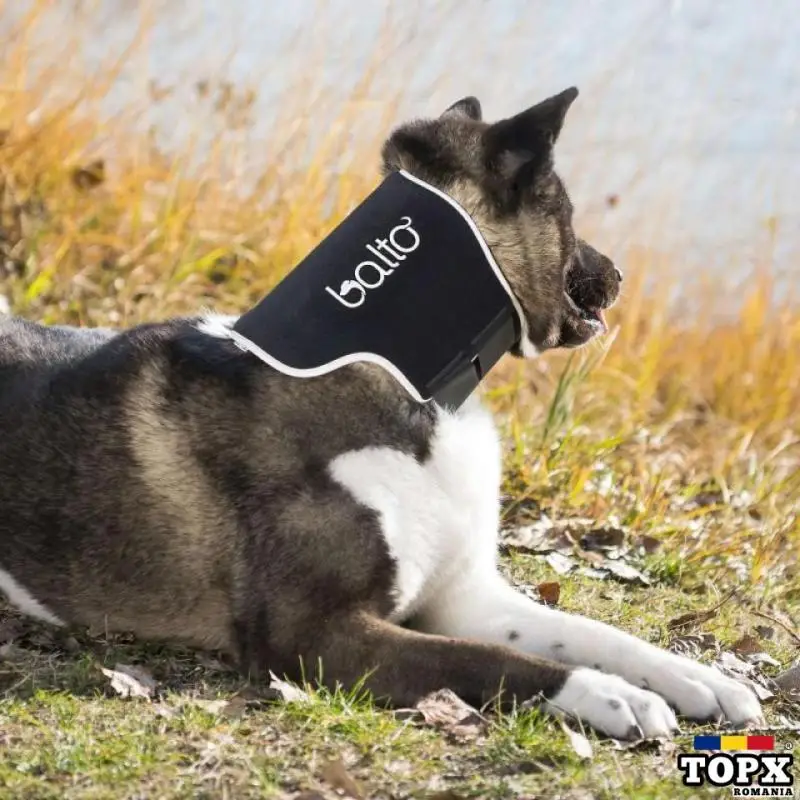 BALTO - BANDĂ DE GĂT PENTRU CÂINI ȘI PISICI