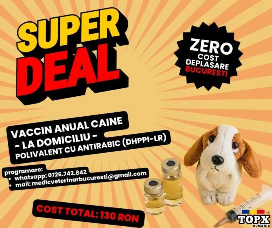 Vaccinare caine la domiciliu - Zero cost deplasare Bucuresti