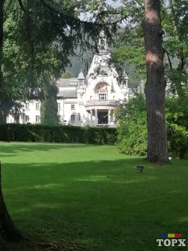 Angajez sofer Bolt, uber