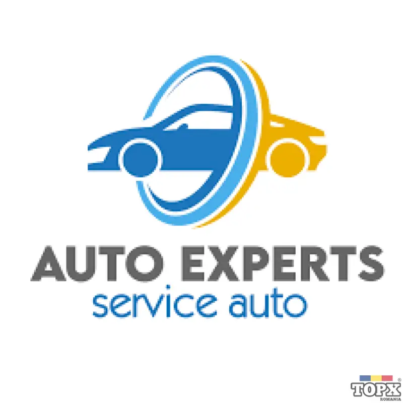 mecanic auto  pentru colaborare