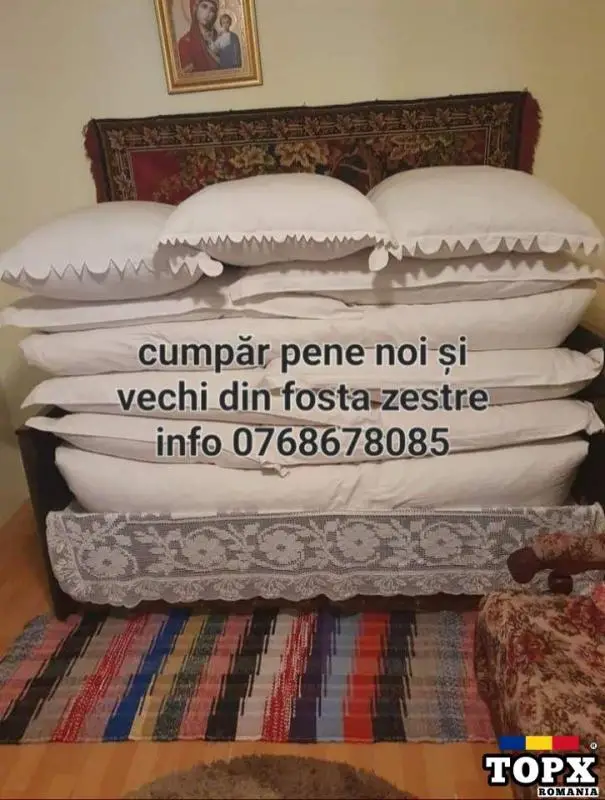 Cumpăr pene de gâscă