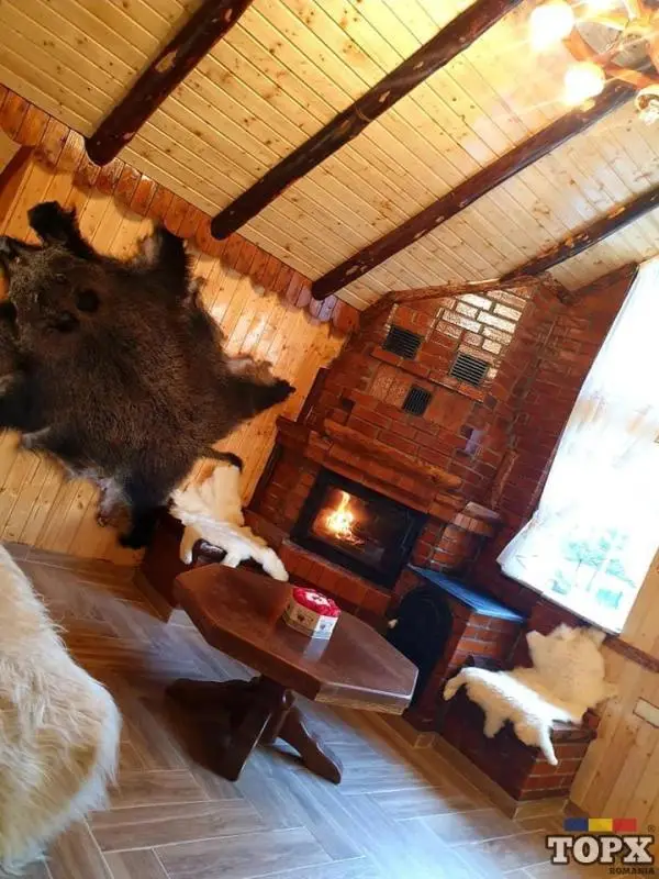 Căbănuța Cocoțată