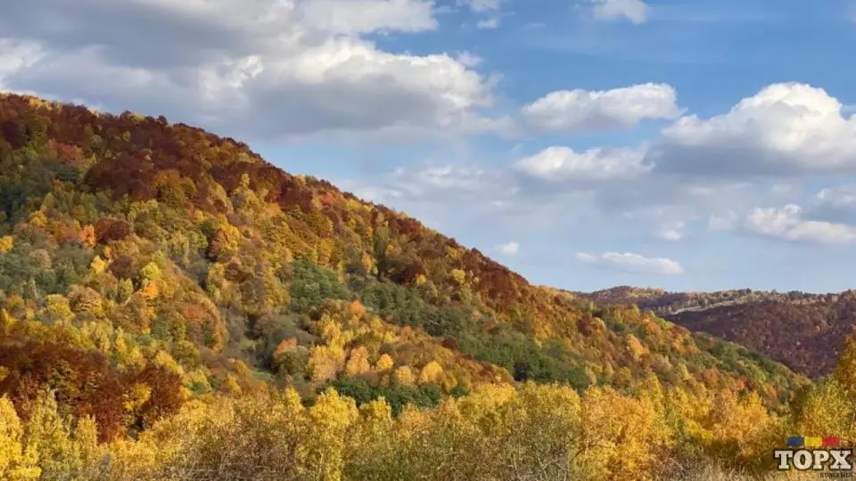 Angajăm bucătăreasă