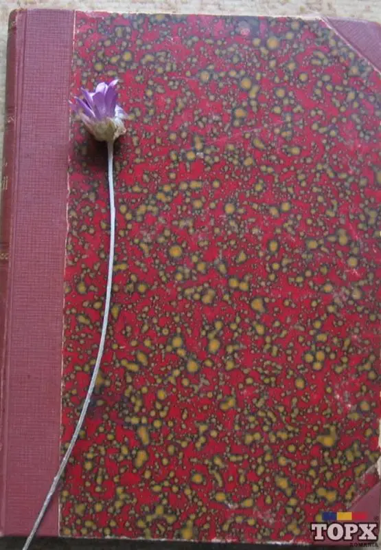 Poezii, Dimitrie Anghel, 1909