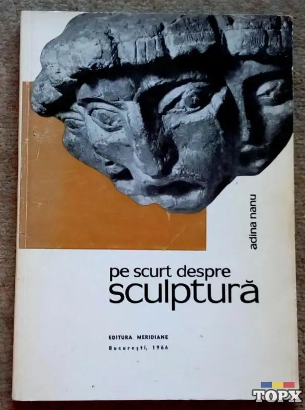 Pe scurt despre sculptura, Adina Nanu, 1966