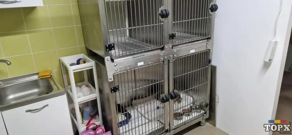 Joyvet - Cabinet Veterinar Sector 3