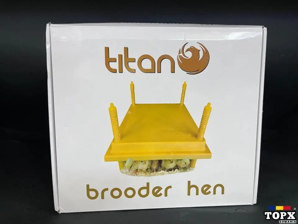 Chick Incalzitor Brooder pentru pui