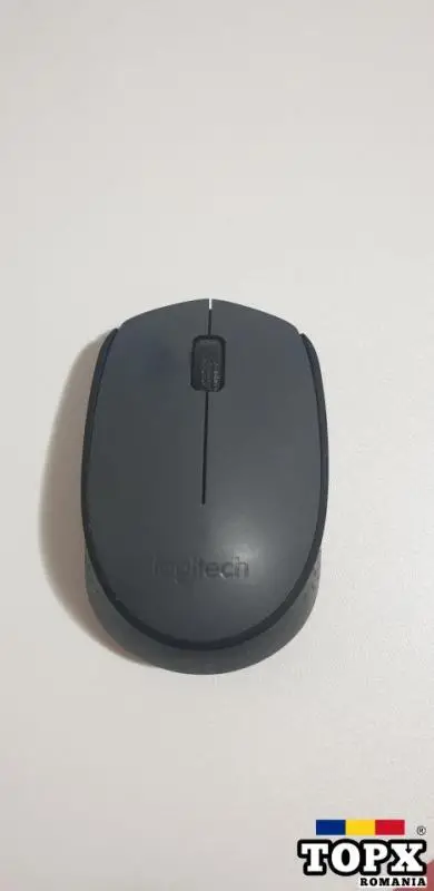 Mouse Logitech M170