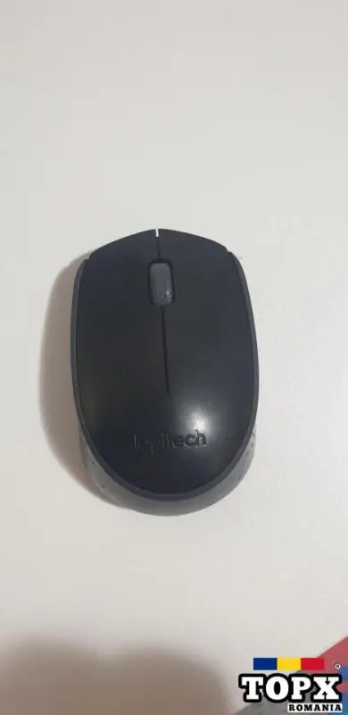Mouse Logitech M171