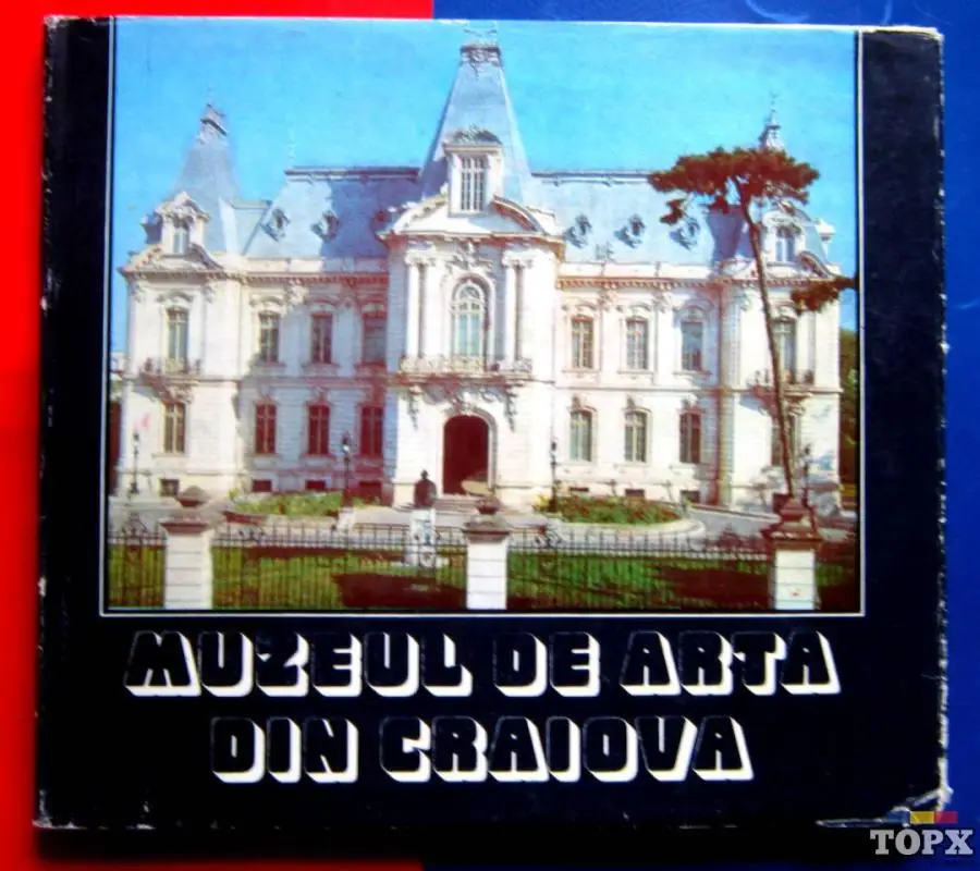 Muzeul de Arta din Craiova, Paul Rezeanu, 1985