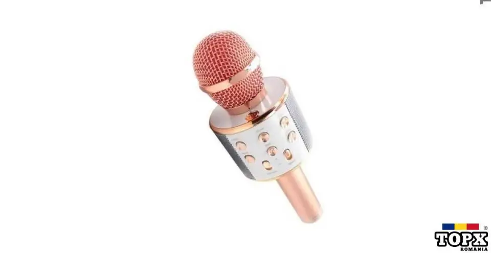 Microfon Karaoke fara fir WS 858