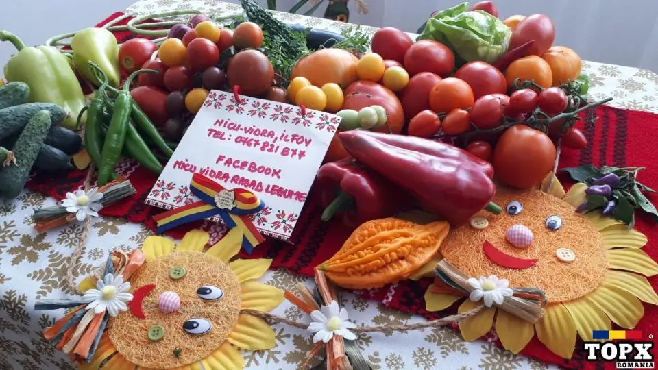 Vand rasad ardei, rosii, castraveti, vinete, varza | Rasaduri Legume