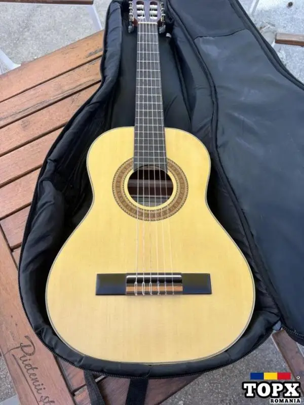 chitara ortega r12 1/2