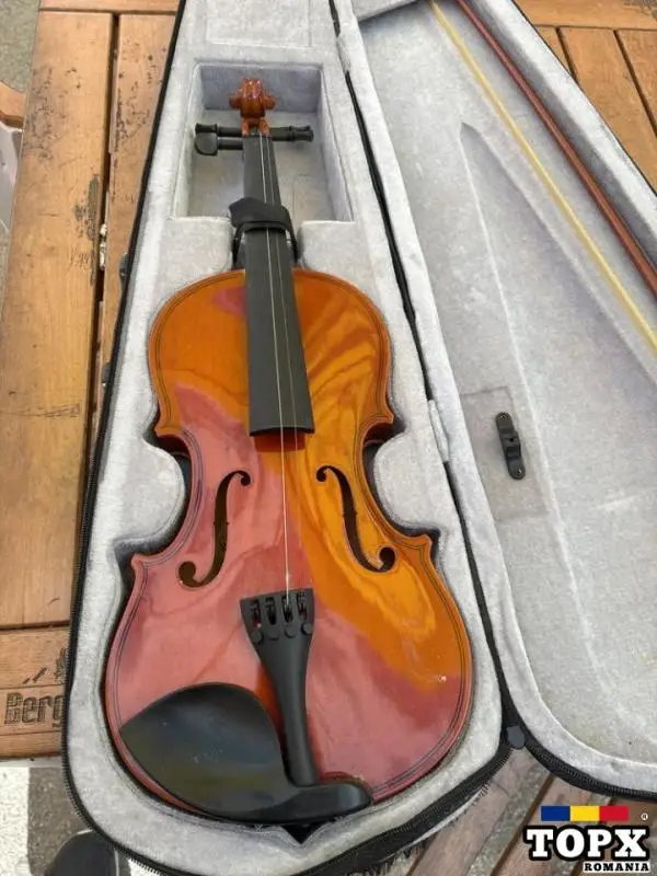 Vioara Ruby 4/4 cu husa