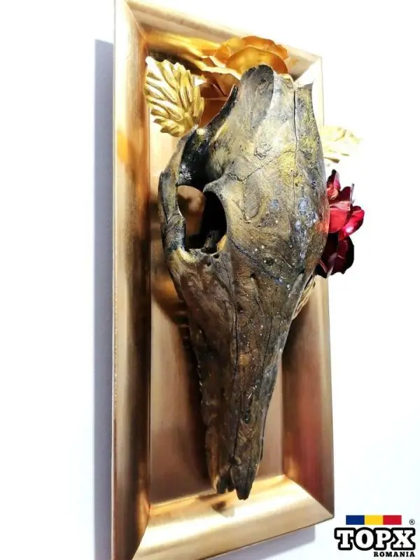 Craniu si trandafiri Skull&Roses,viață-moarte