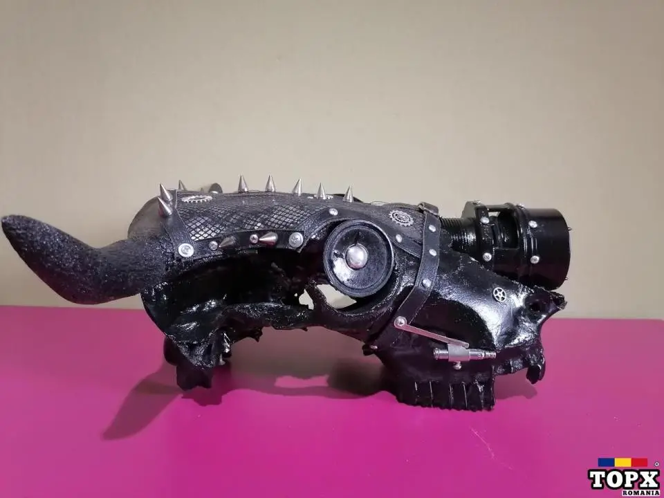 Craniu Steampunk,rock,punk,gotic