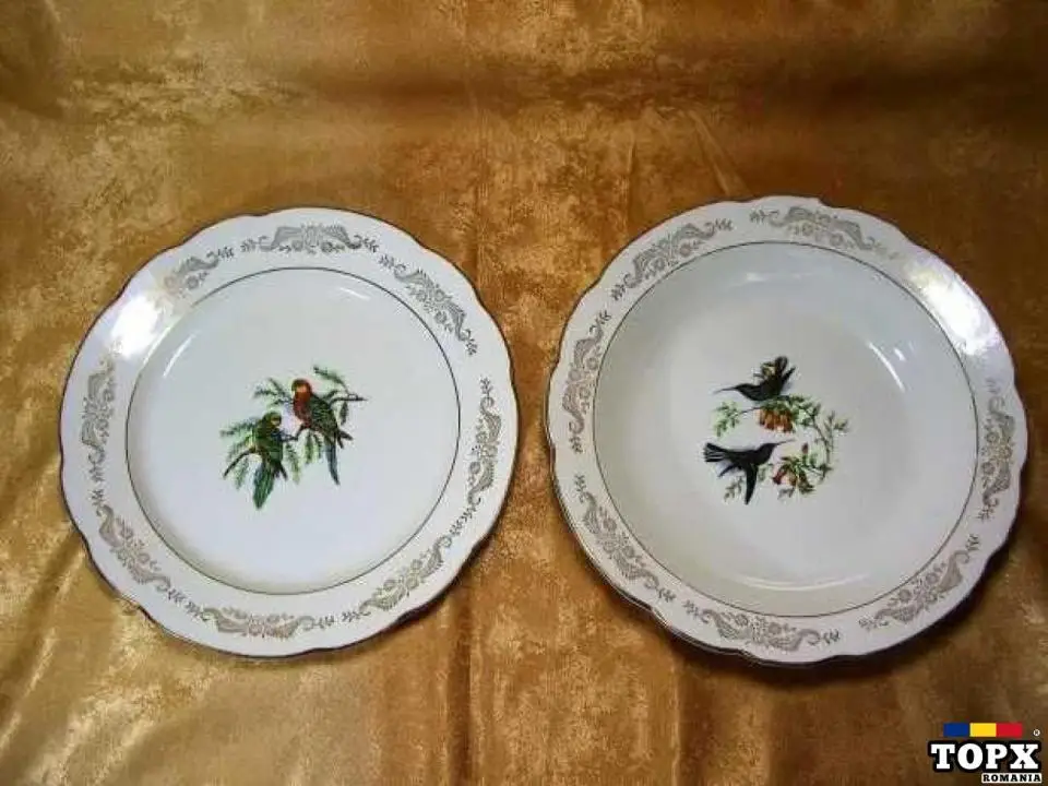 Set 2 farfurii portelan Franta  pictate manual  colectie  vintage