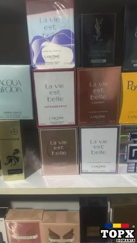 Set arabians  alex   se   bacc   angels SIGILAT