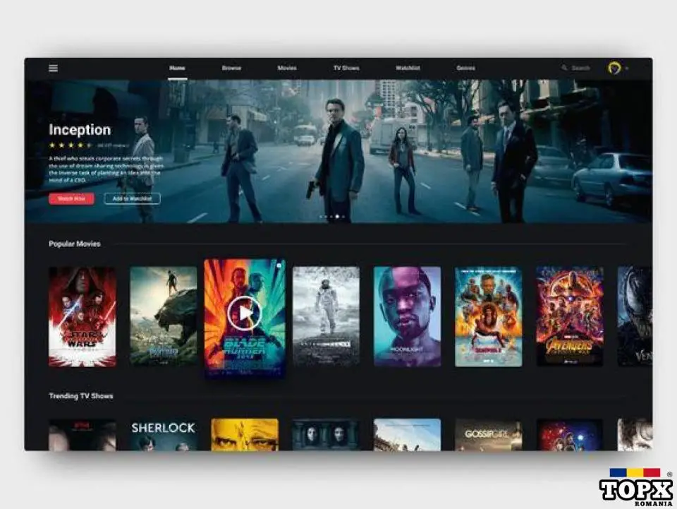 Platforme streaming video gen Netflix sau pentru adulți gen PornHub