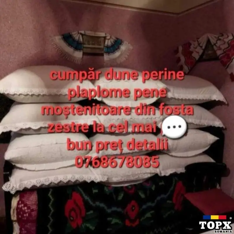 Cumpăr pene vechi și noi