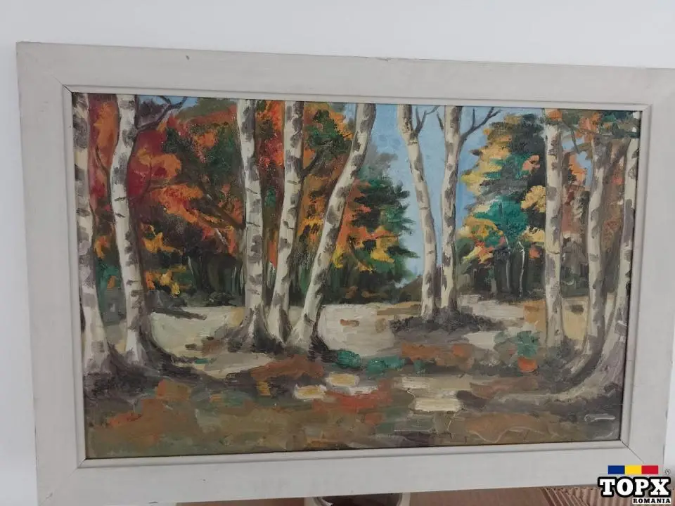 Un superb peisaj de toamna