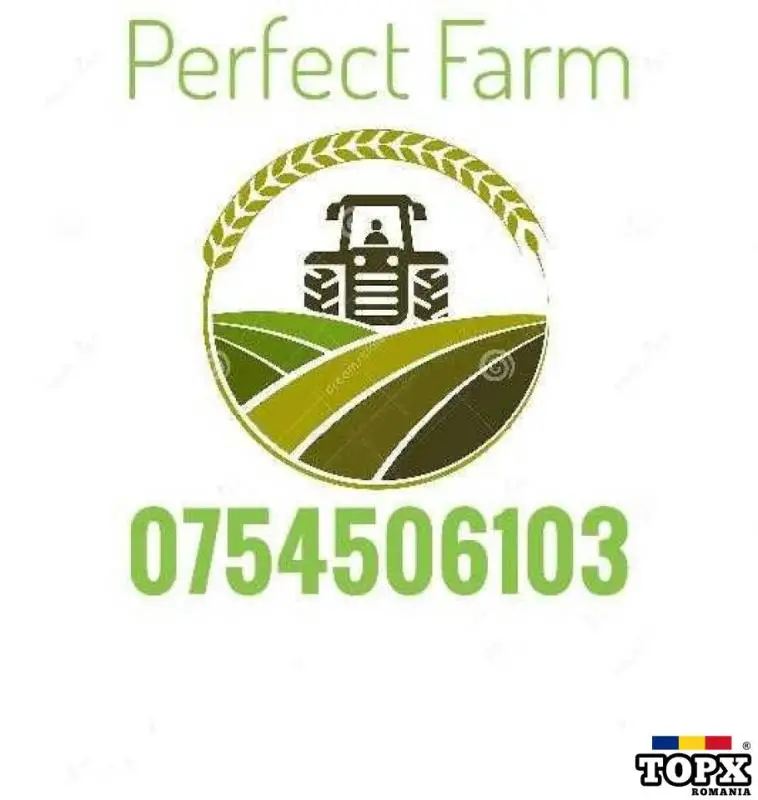 Cilindru hidraulic TAF 73x73x40x710x580x450mm - 5