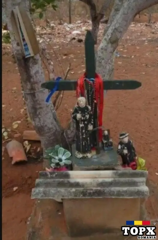 vrajitoarea-tamaduitoarea-maria.webnode.ro/