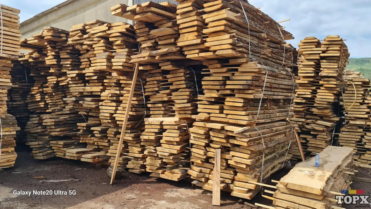 Anunțuri Orice altceva în Bacău – Publică gratuit | TOPX