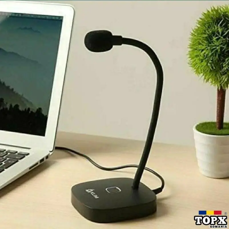 Microfon profesional cu sunet de înaltă definiție