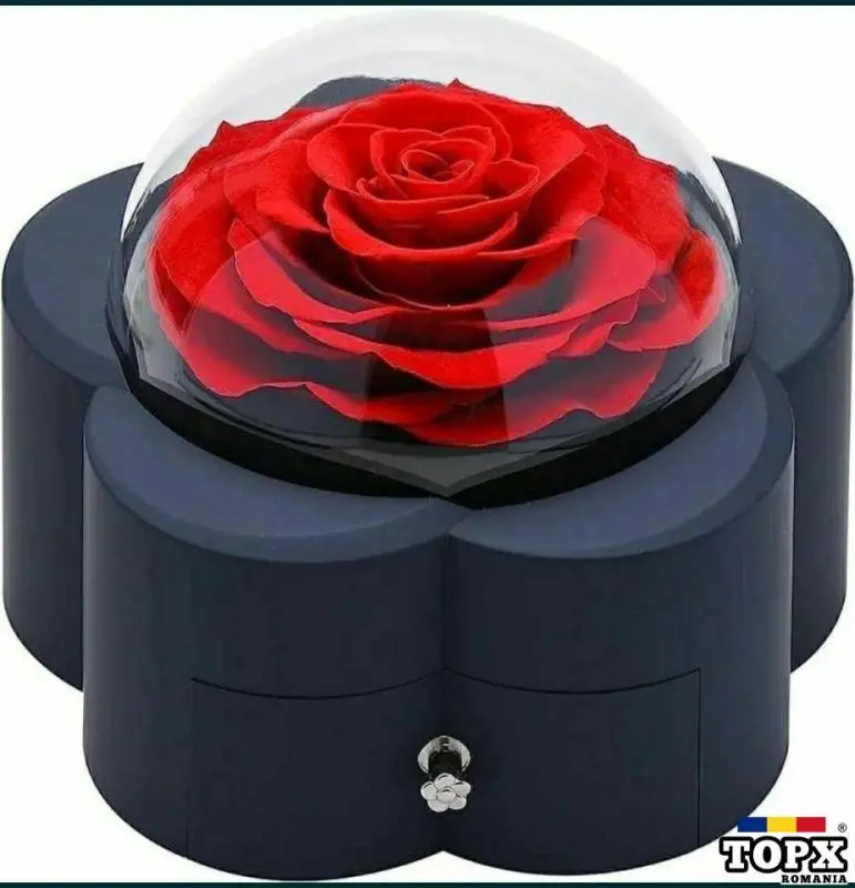 Cutie de bijuterii cu trandafir criogenat +lănțisor inima