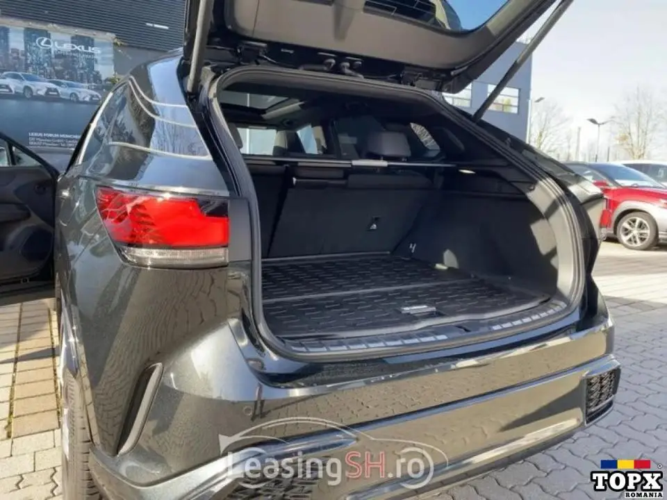 Lexus Seria RX 2023 - 10