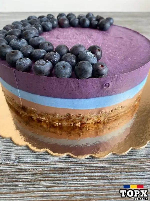 Tort raw vegan Ciocolată și Spirulina Albastră