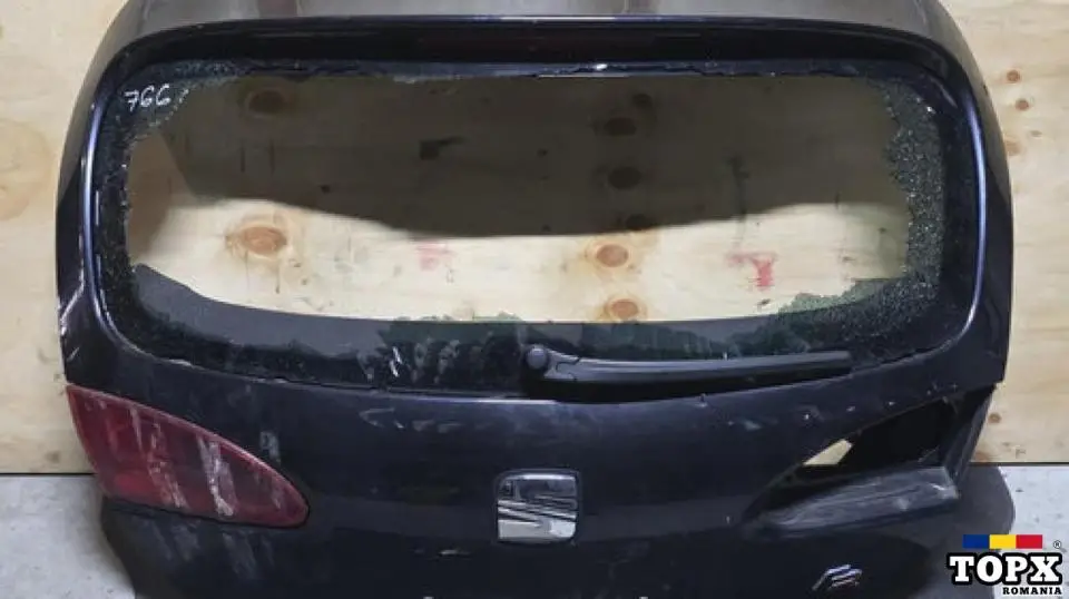 HAION DEZECHIPAT FARA LUNETA SEAT LEON FR 2008